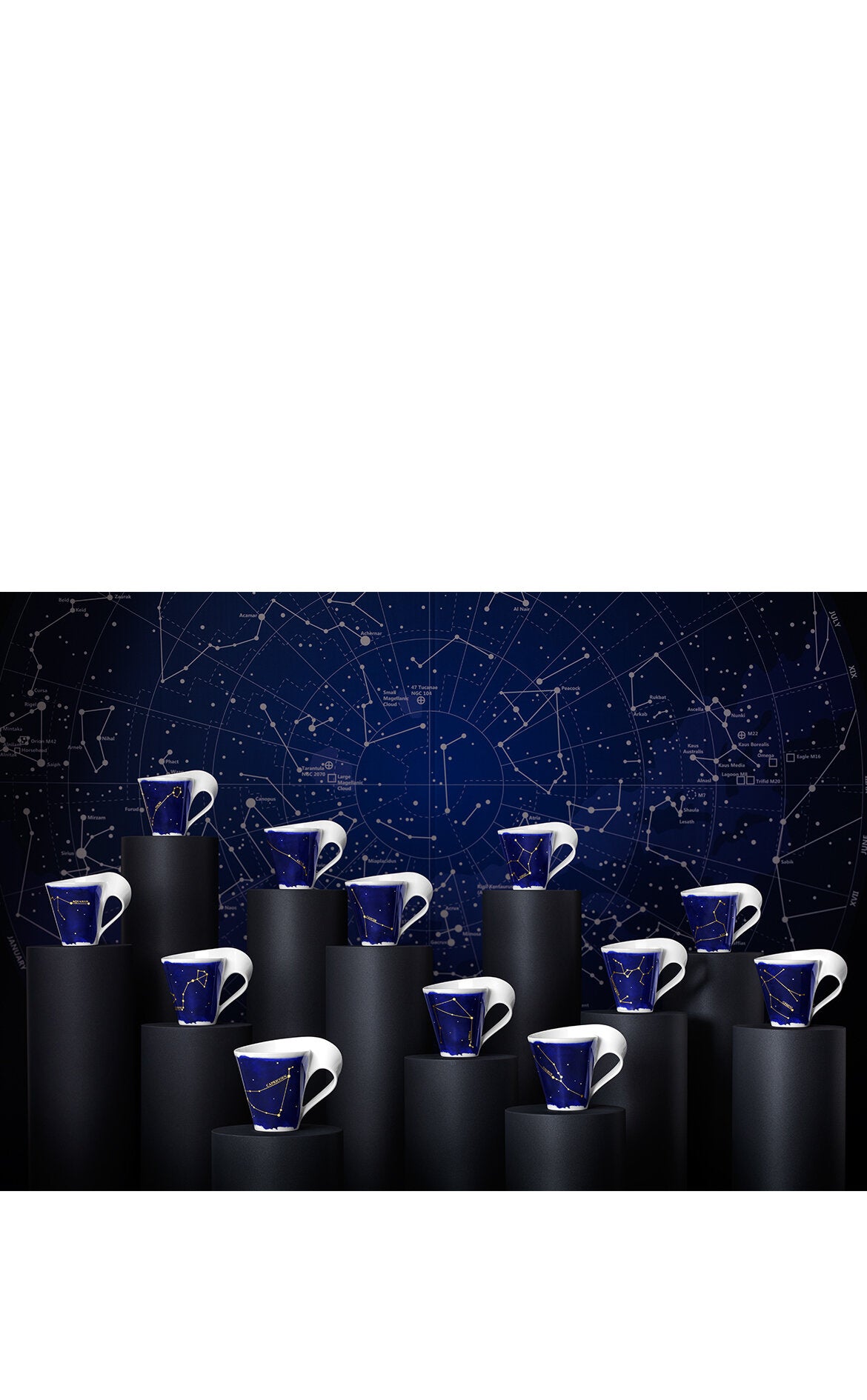 VILLEROY AND BOCH NewWave Stars Kupa Balık Burcu D’Maison