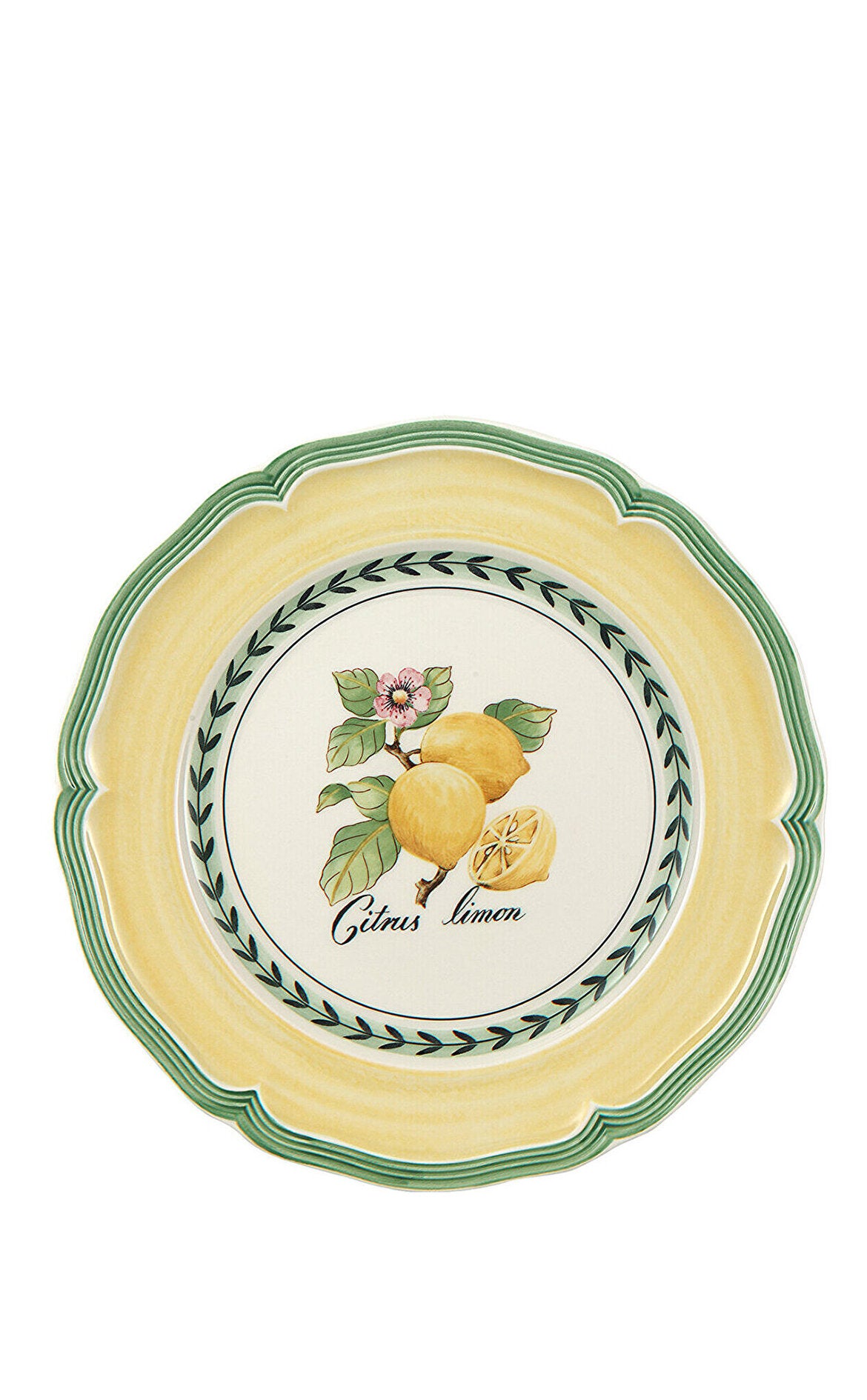 VILLEROY AND BOCH French Garden Valence Pasta Tabağı 21 cm D’Maison 