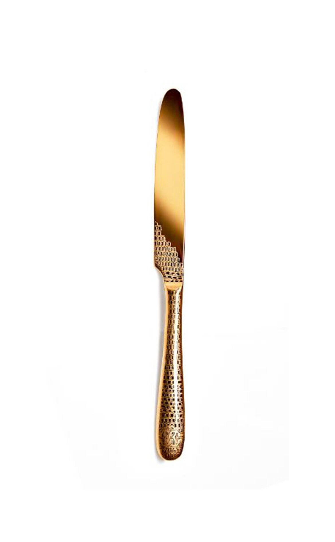 ROBERTO CAVALLI Lizzard Yemek Bıçağı, 24 cm D’Maison 